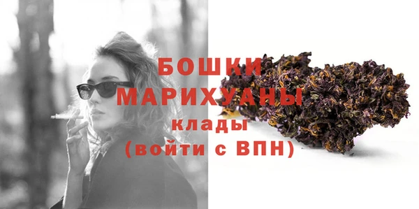 ПСИЛОЦИБИНОВЫЕ ГРИБЫ Верея