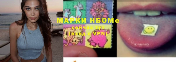 ПСИЛОЦИБИНОВЫЕ ГРИБЫ Верея