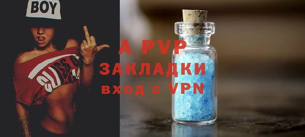 ПСИЛОЦИБИНОВЫЕ ГРИБЫ Верея