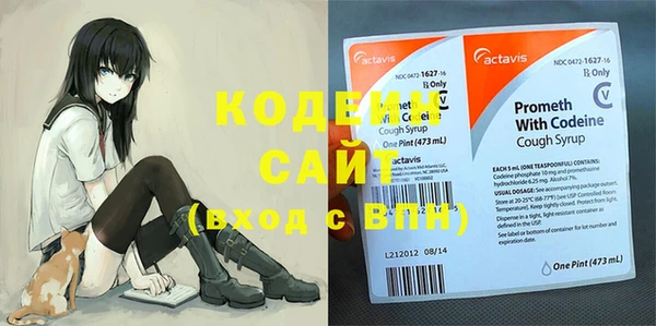 ПСИЛОЦИБИНОВЫЕ ГРИБЫ Верея