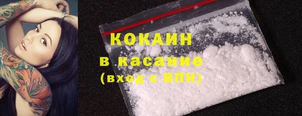 ПСИЛОЦИБИНОВЫЕ ГРИБЫ Верея