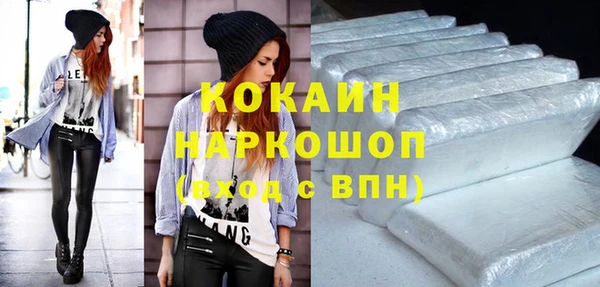 ПСИЛОЦИБИНОВЫЕ ГРИБЫ Верея