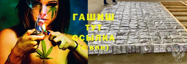 ПСИЛОЦИБИНОВЫЕ ГРИБЫ Верея