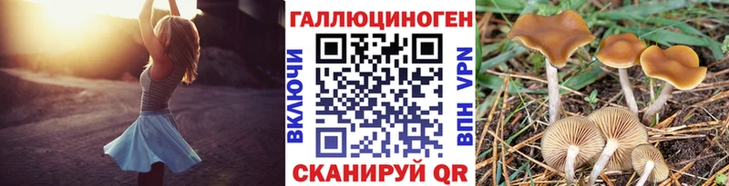 Галлюциногенные грибы прущие грибы  Купить где  Красноярск 