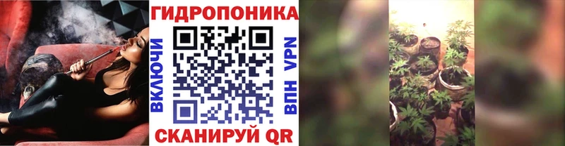 Каннабис индика  Купить закладки  Красноярск 
